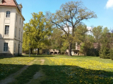 Schloss im April