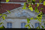 Schloss Martinskirchen