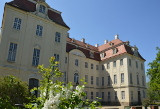 Wenn der Flieder wieder blühlt am Schloss