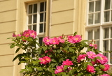 Morgens am Schloss