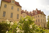 Wenn der Flieder wieder blüht am Schloss Martinskirchen