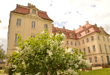Wenn der Flieder wieder blüht am Schloss...
